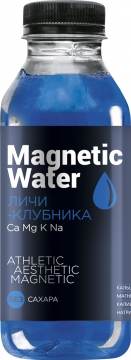 Magnetic Water 0,5л.*10шт. Личи Клубника  Магнетик Вотер